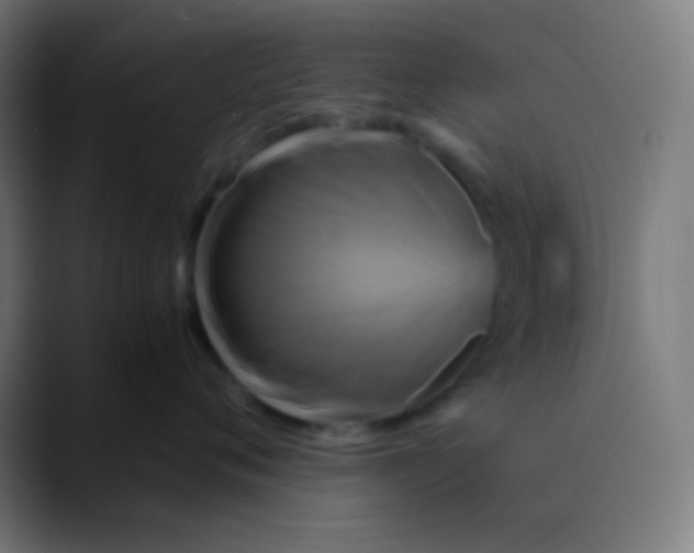 X0000089730720200707121449
