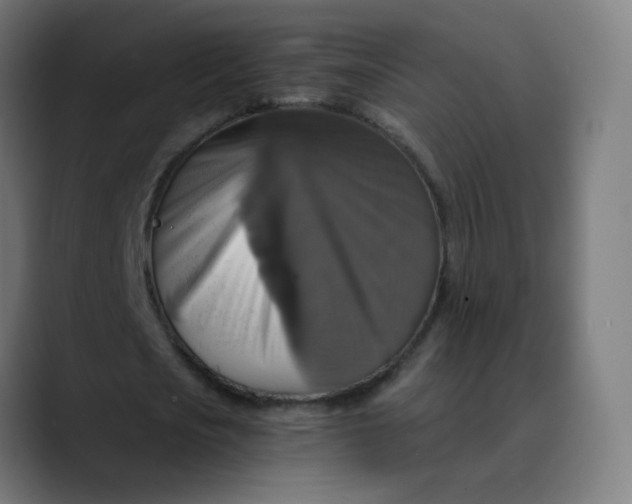 X0000089730721200707121448