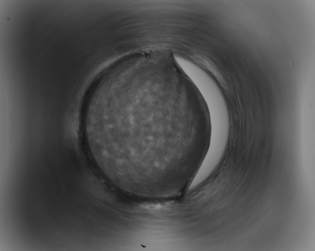 X0000089730724200707121448