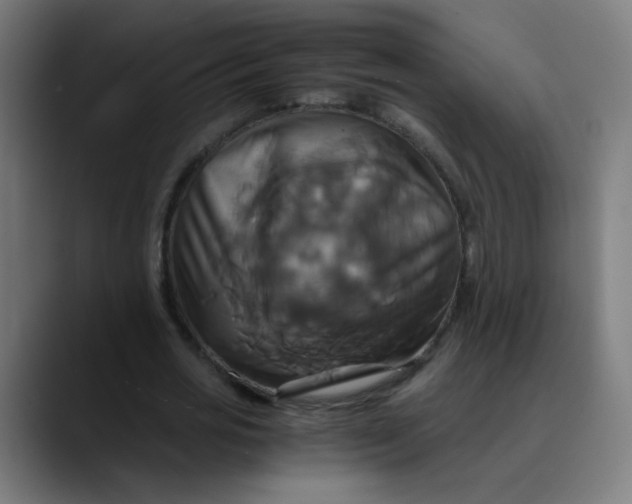 X0000089730725200707121448
