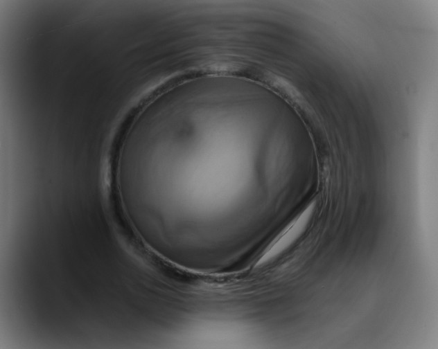X0000089730726200707121448