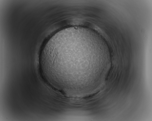 X0000089730727200707121448
