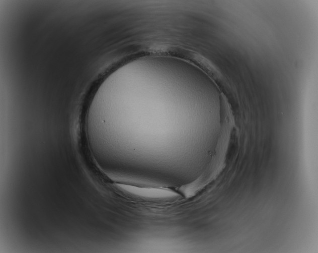X0000089730728200707121448