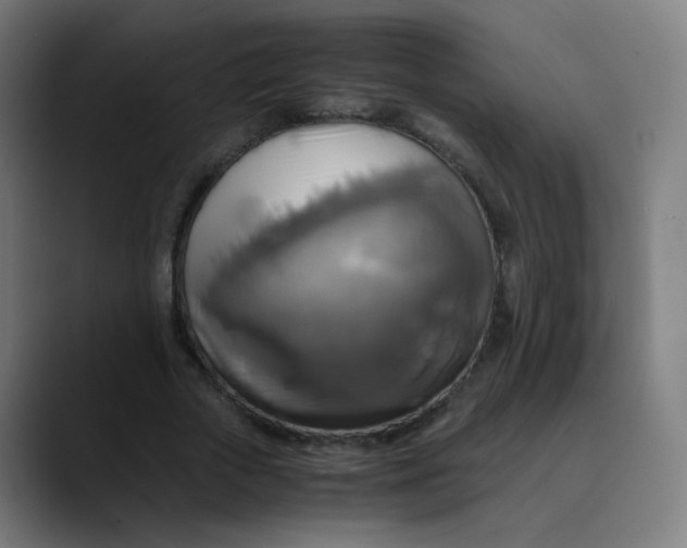 X0000089730729200707121448