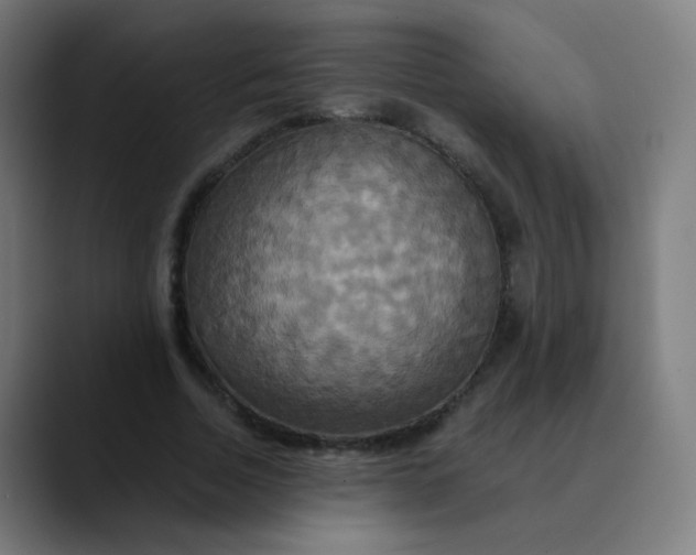 X0000089730730200707121448