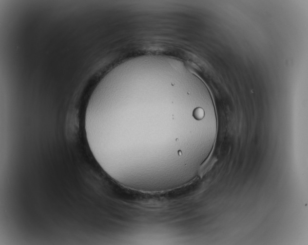 X0000089730731200707121448