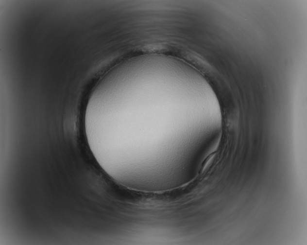 X0000089730732200707121448