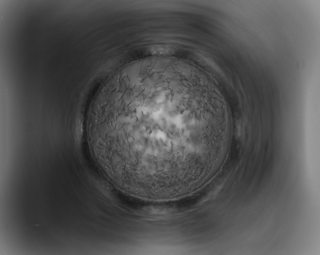 X0000089730733200707121448