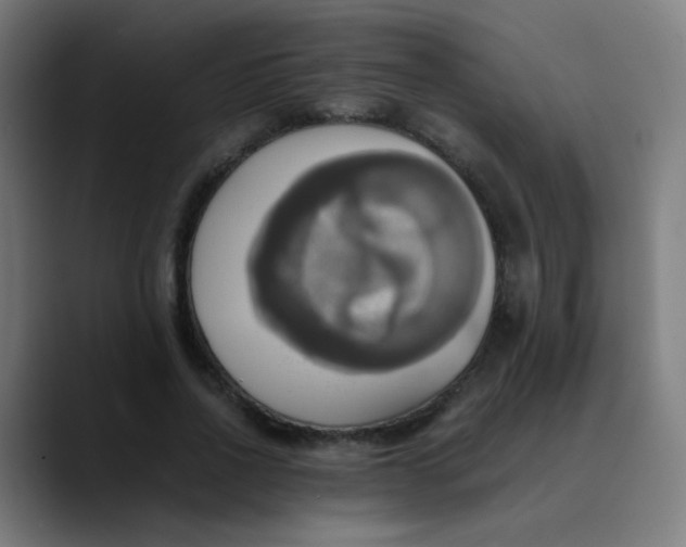 X0000089730734200707121448