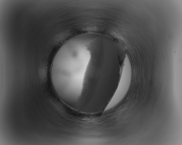 X0000089730735200707121449
