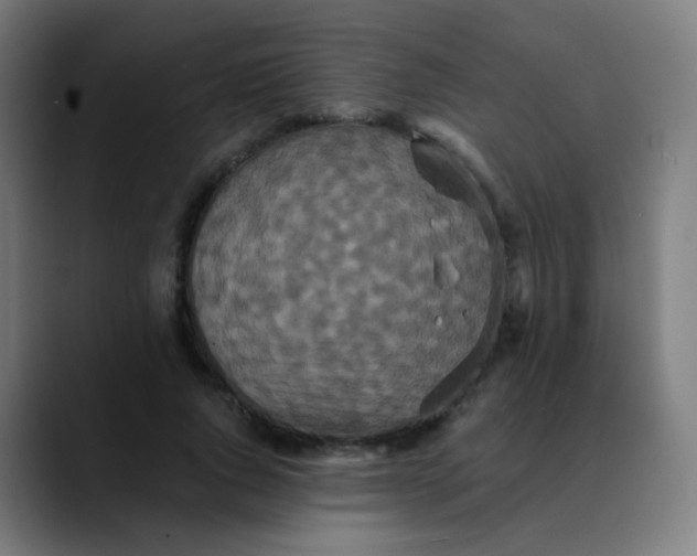 X0000089730736200707121449