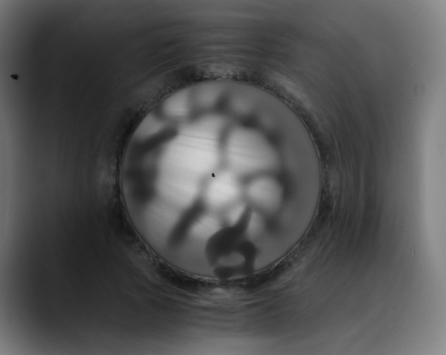 X0000089730737200707121449