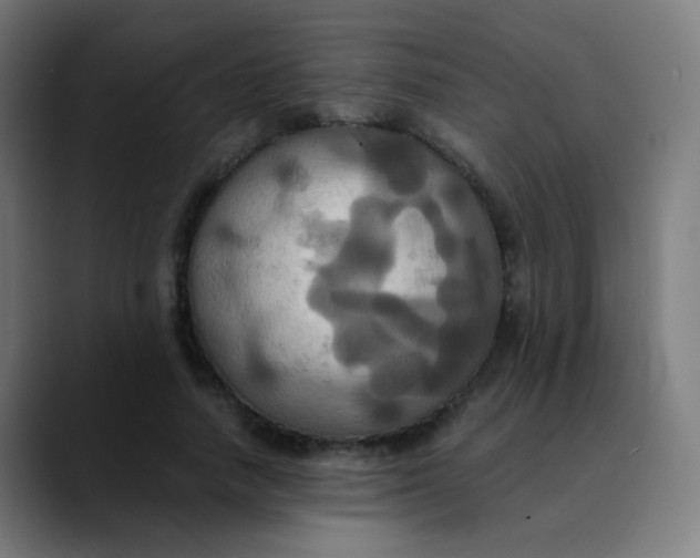 X0000089730738200707121449
