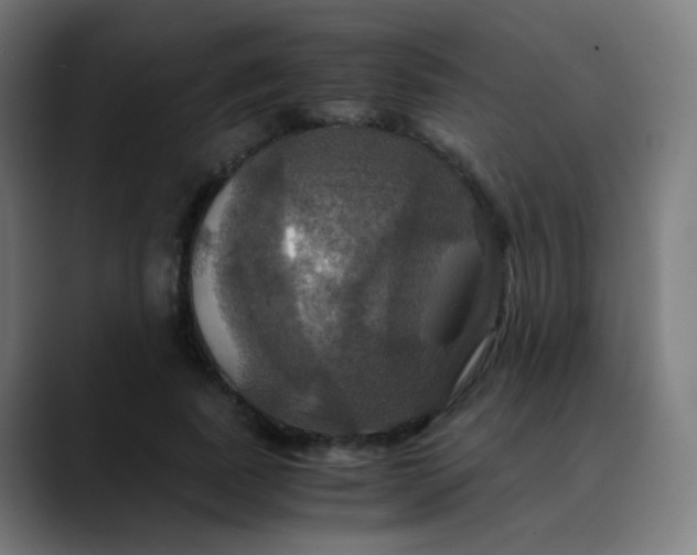 X0000089730739200707121449