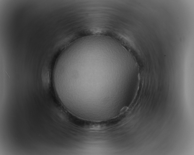 X0000089730740200707121449