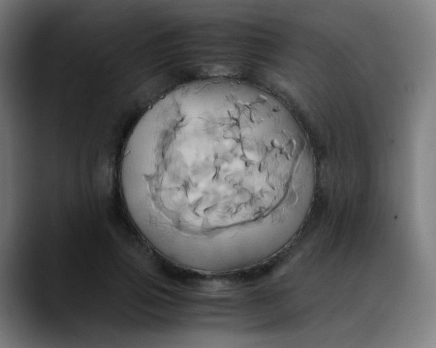 X0000089730741200707121449