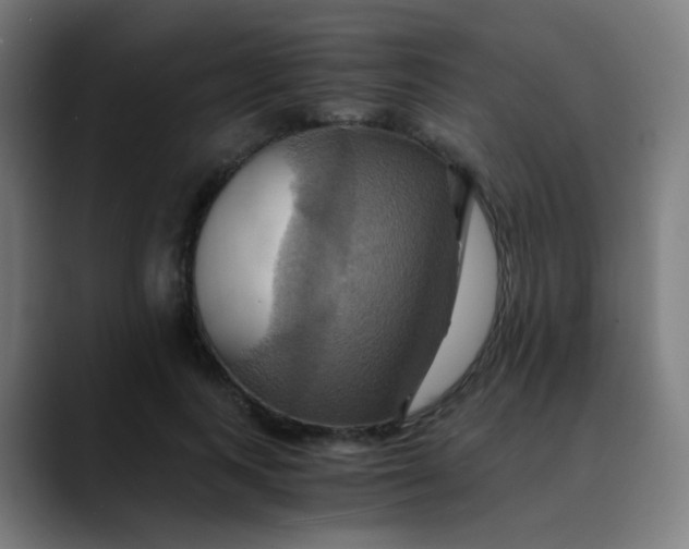 X0000089730743200707121449