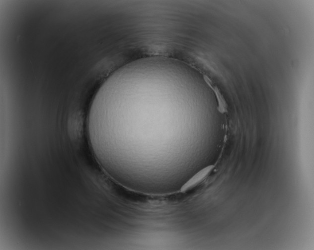 X0000089730744200707121449