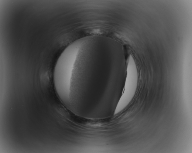 X0000089730747200707121449