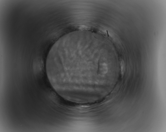 X0000089730748200707121449