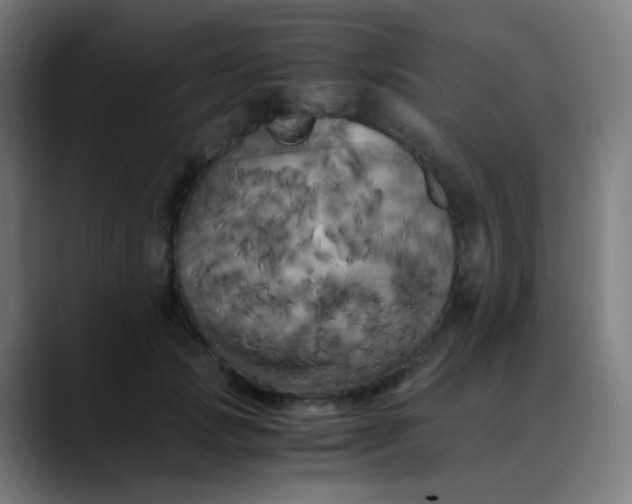 X0000089730749200707121449
