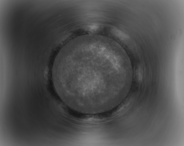 X0000089730750200707121449