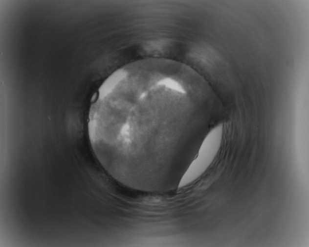 X0000089730751200707121449