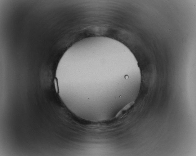 X0000089730752200707121449