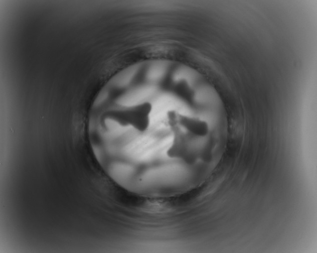X0000089730753200707121449