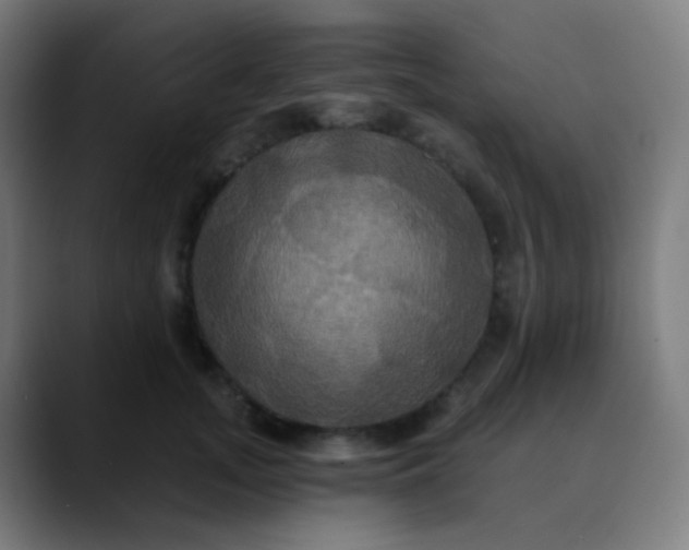 X0000089730755200707121449