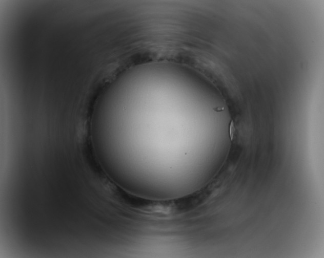 X0000089730756200707121449