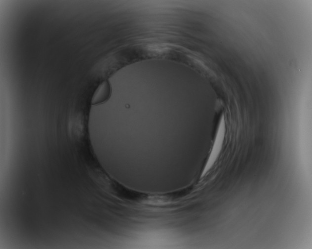 X0000089730758200707121449