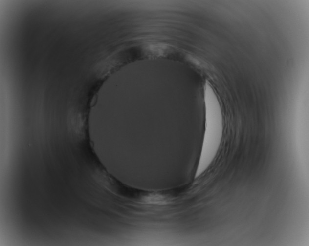 X0000089730759200707121449