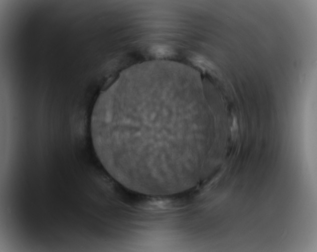X0000089730760200707121449