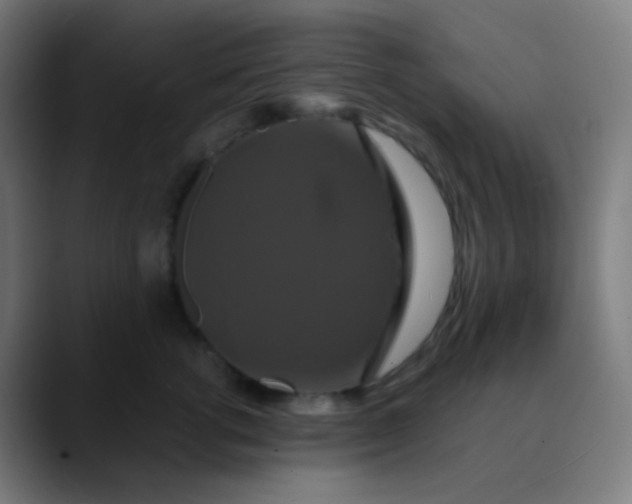 X0000089730762200707121449