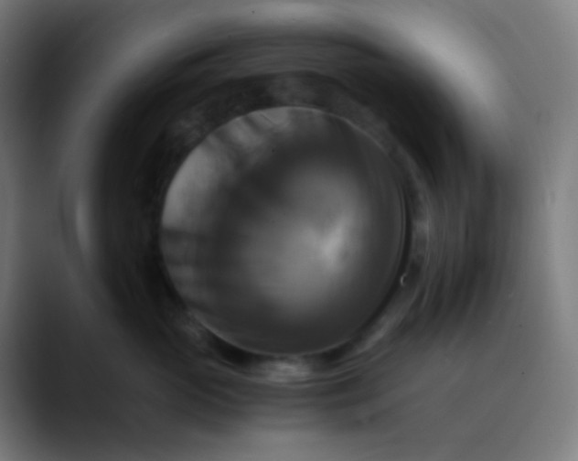 X0000089730765200707121449