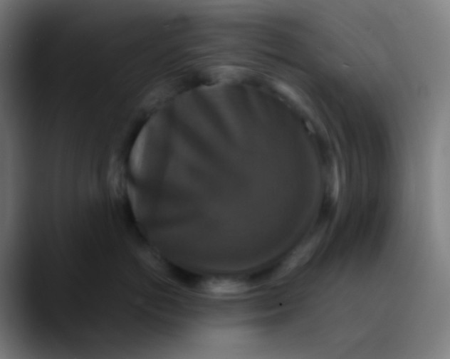 X0000089730766200707121449