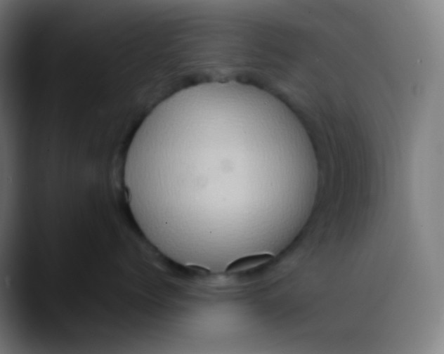 X0000089730768200707121449