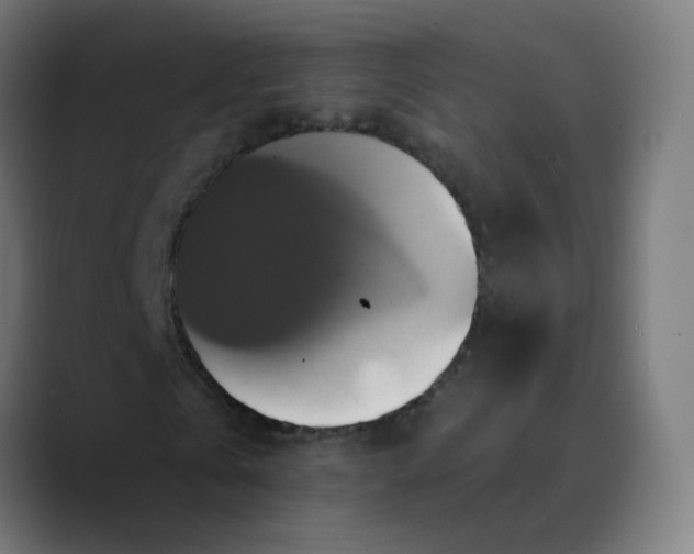 X0000089730769200707121448