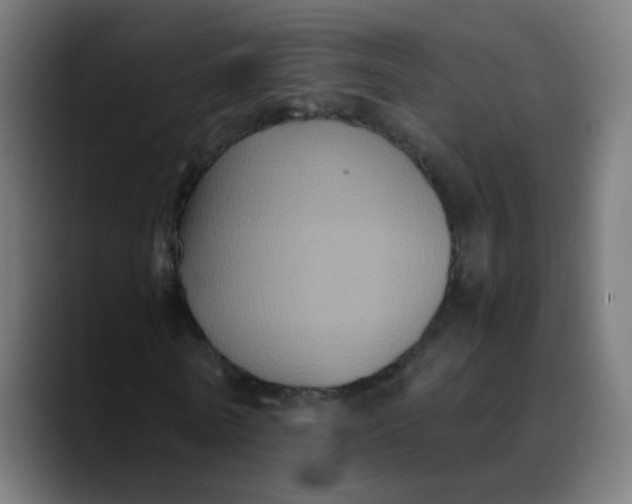 X0000089730770200707121448