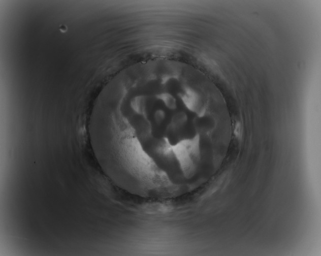 X0000089730771200707121448