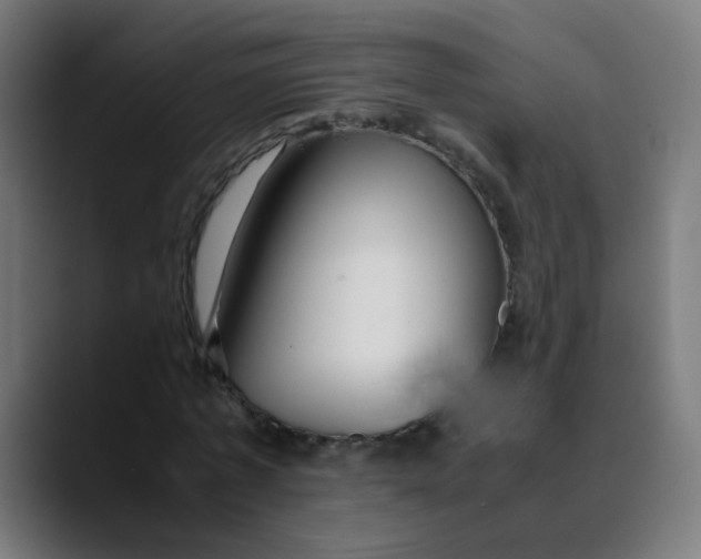 X0000089730773200707121448