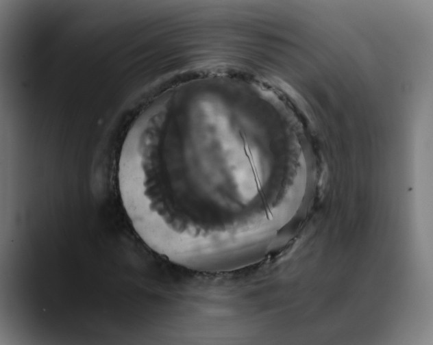 X0000089730775200707121448