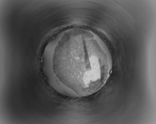 X0000089730776200707121448