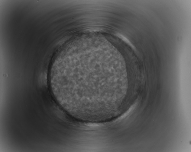 X0000089730777200707121448