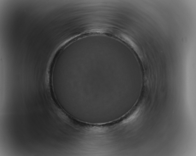 X0000089730779200707121448