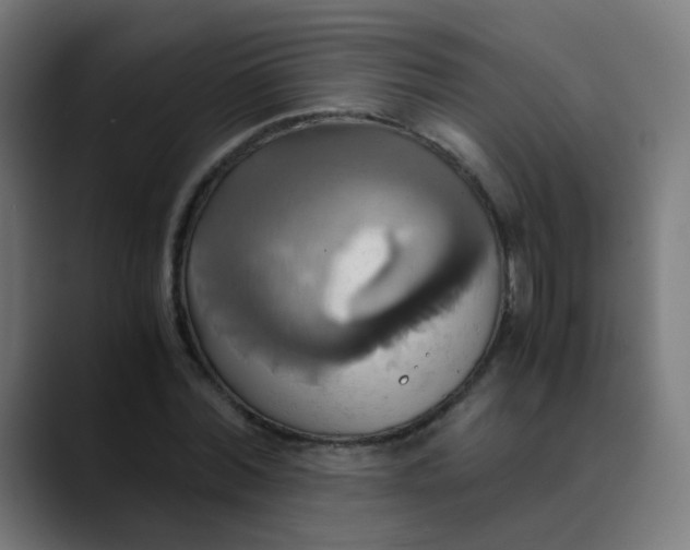 X0000089730780200707121448