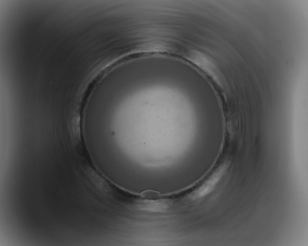 X0000089730781200707121448