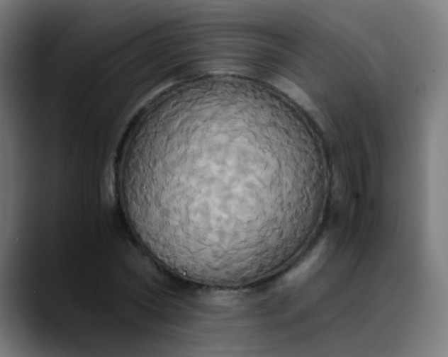 X0000089730782200707121448