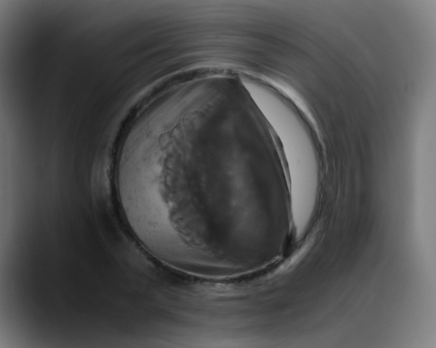 X0000089730783200707121448